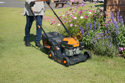 PLOW エンジン 芝刈り機 家庭用 小型 手動 GC380 刈幅38cm 刈高さ30〜66mm プラウ 手押し 芝刈機 軽量 コンパクト バーナイフ